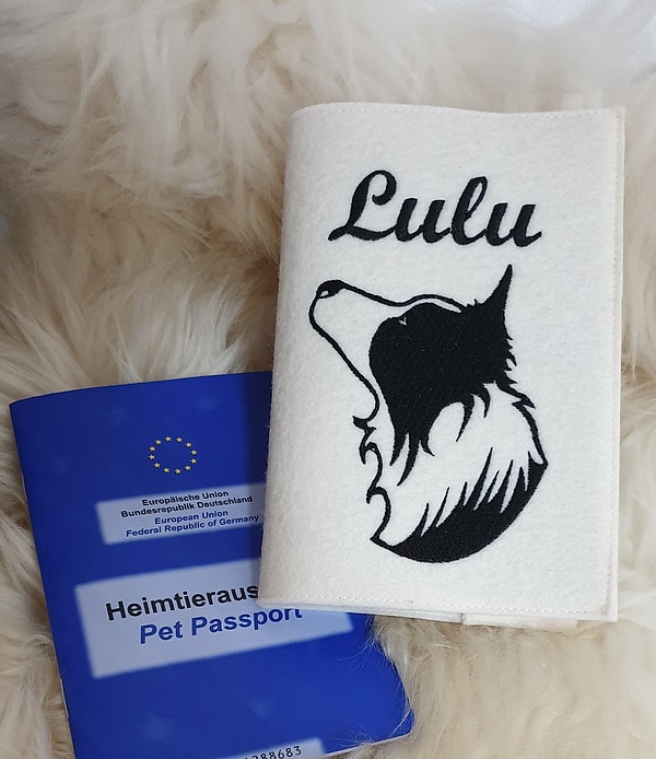 Heimtierausweis Wollfilz Wollfilzhülle Border Collie Lulu W633