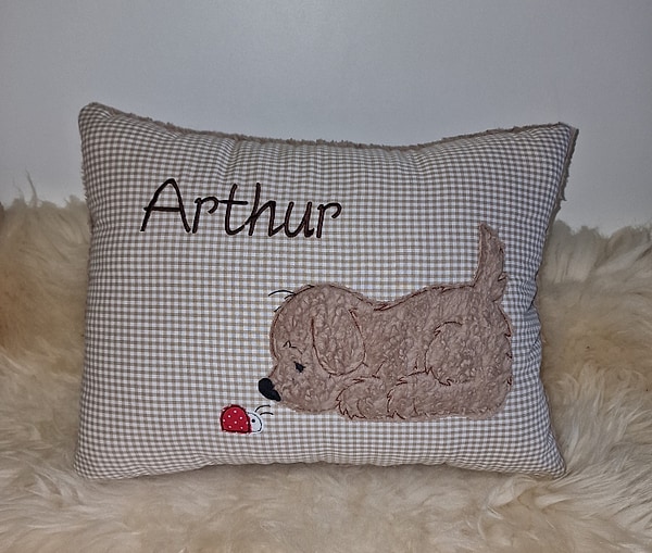 Kissen Taufkissen Hund Marienkäfer beige Karo & Wunschnamen W847