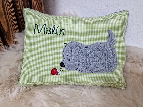 Kissen Taufkissen Hund Marienkäfer grau grün Karo & Wunschnamen W1017