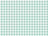 Vichy klein (2 mm) mint